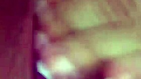 presentinho no isolamento