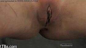 Narrative Free Sadomasochism Erotica