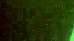 i watch this latina amateur take a hung cock deep