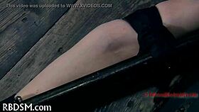 What Punishments Await in This Provocative Scenario?