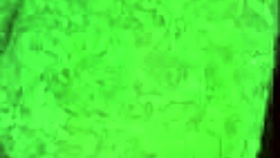 Aprendiendo A Hacer Una Buena Mamada Y Disfrutando De Una Rica Tarde Mientras No Hay Nadie En Casa