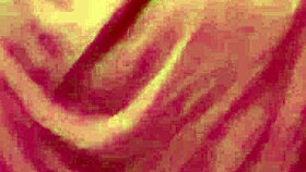 my wife shows off on webcam