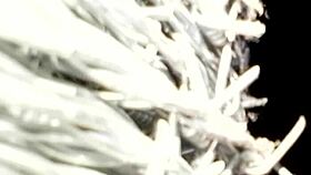 I'm on duty for some solo masturbation today.