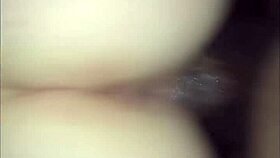 tight pussy gets drilled by big black cock