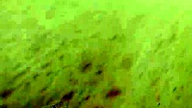 public interracial blowjob and wild fucking outdoors