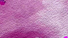 brunette gets assfucked and facialed in high definition. is it free?