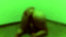 Trailer Lays Lopes Records Brunette Bride's Wedding in High Definition