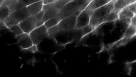 Lana Del Rey Sings Blue Jeans