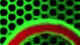 Kuguary z Dużymi Cyckami Julia Ann i Maggie Green Zanurzają się w Mokrej Zabawie z Cipką