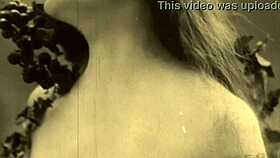 Vintage Golden OLDIES Collection