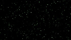 darkie queen blowjob adventure 😏