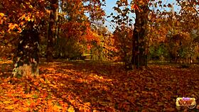 Deborah Shelton Fucks In Sins Of The Night