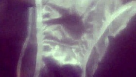 ricos pantis en satin