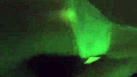 dancing on all fours after the disco