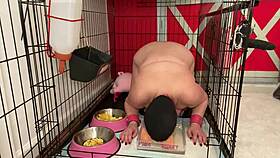 Fuckpig Justafilthycunt in Humiliating Degradation with Piss Drinking from Bowls