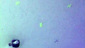 ya no aguantaba las ganas y le cante un palo