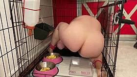 Fuckpig Justafilthycunt in Humiliating Degradation with Piss Drinking from Bowls