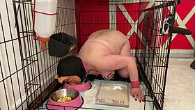 Fuckpig Justafilthycunt in Humiliating Degradation with Piss Drinking from Bowls