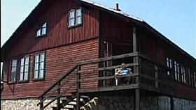 Petite Blonde Teen Pussy Fucked Outdoors After Clothes Ripped