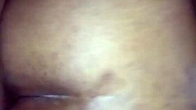 bbw ebony with good curves