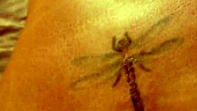 Dragon Fly & Sexaddic engage in public outdoor sex with monster cock.