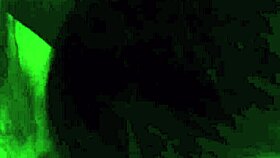 swallowing blowjob action 😋