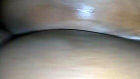 bbw ebony with good curves