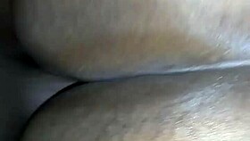 bbw ebony with good curves