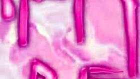 Cute girl in glasses tries first dp solo 😍