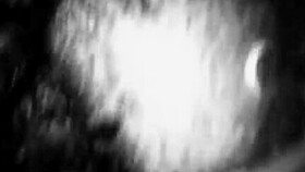 Bad boy bunny in Halloween costume, cumshot fun