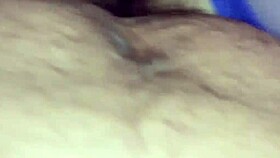 Amante relaxes in a cozy hotel room