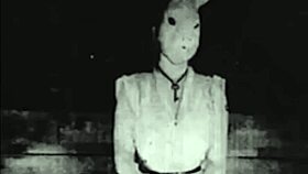 Bad boy bunny in Halloween costume, cumshot fun