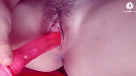 Mi alice jugando con juguete.