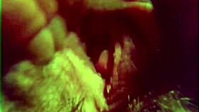 جون هولمز وليسلي بوفي يجنون في جنس غرفة فندق