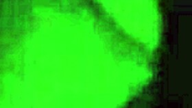 fucked doggystyle bent over right after shower