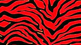 who wants to grab my ebony big ass now