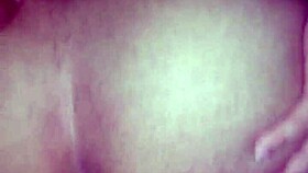 sao joao festival celebrations in brazil