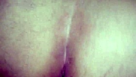 sao joao festival celebrations in brazil