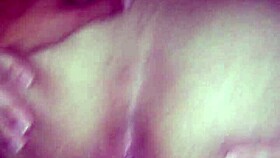 sao joao festival celebrations in brazil