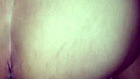 sao joao festival celebrations in brazil