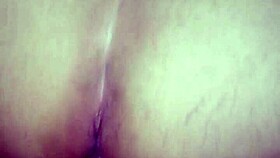 sao joao festival celebrations in brazil