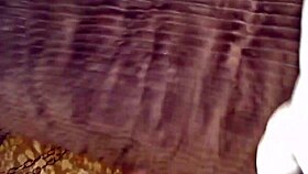 i am queen boudicca, and tonight i will break in this fine man i purchased for my femdom roleplay