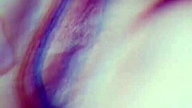 que rico me dieron en cabinas, termine llena de leche por single vergon