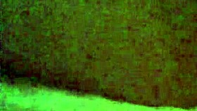 Webcam session with a ladyboy performer