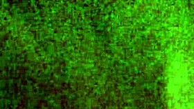 Webcam session with a ladyboy performer