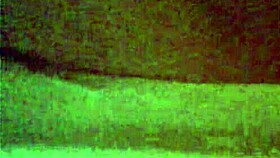 Webcam session with a ladyboy performer