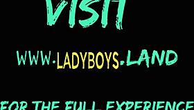 Oletko Nähnyt Aasialaisen Ladyboyn Kömpimässä Kovalla Kyrvällä Näin?