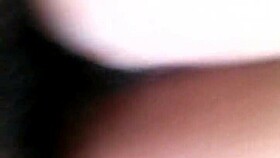 Black chick with fat ass pussy gets creamy on the dick