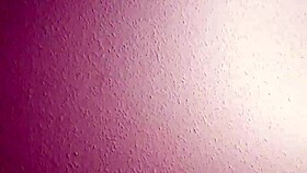 my girlfriend can't get enough of that big rough dick