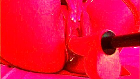 Latina debuts new toy with blowjob and pussy play!